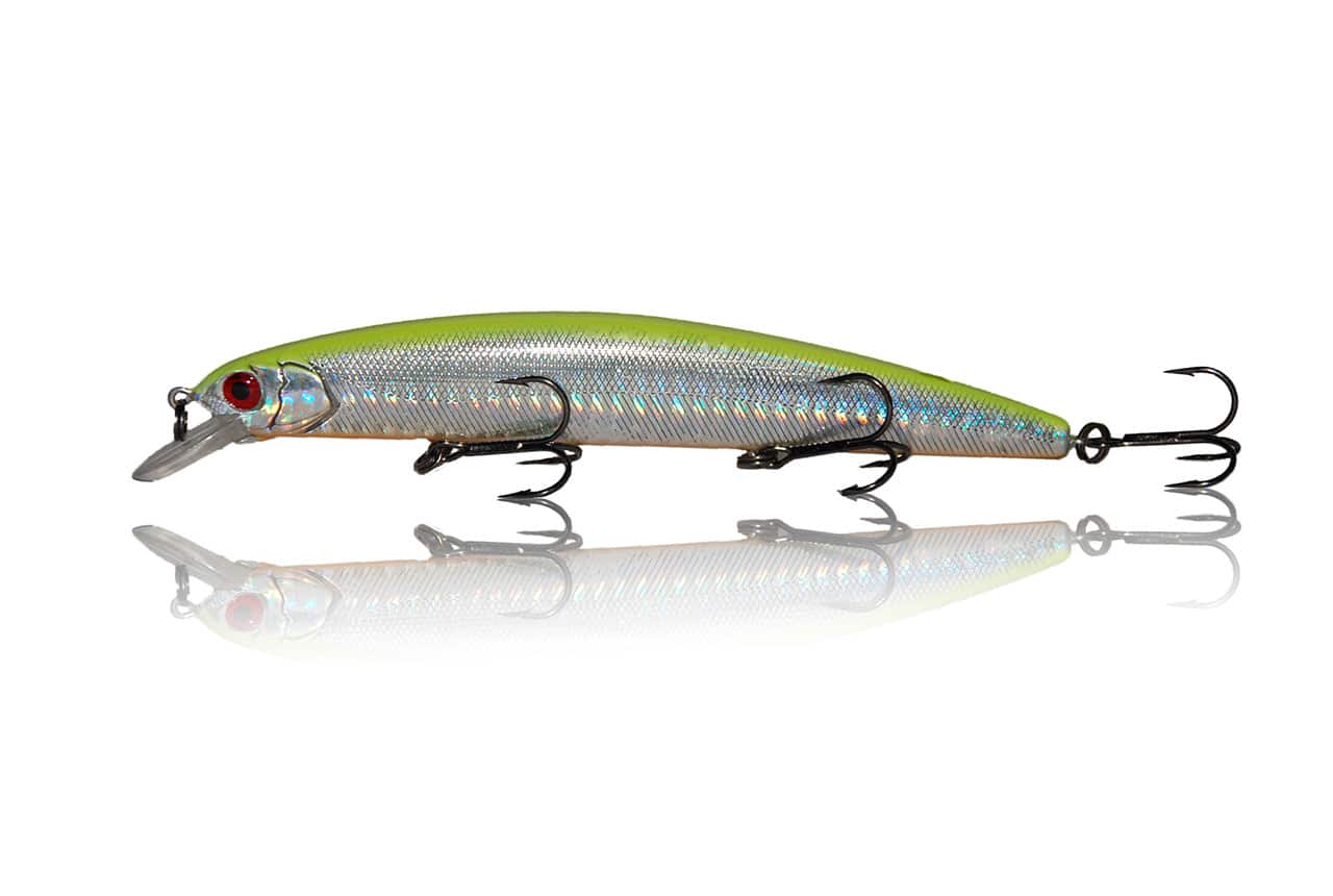 Gecko-Minnow-130